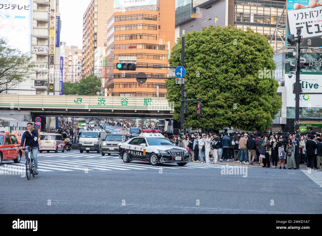 Stazione di Shibuya a Tokyo, la macchina della polizia giapponese si avvicina a Shibuya attraversando il pellicano, Tokyo, Giappone, Asia, 2023 Foto Stock