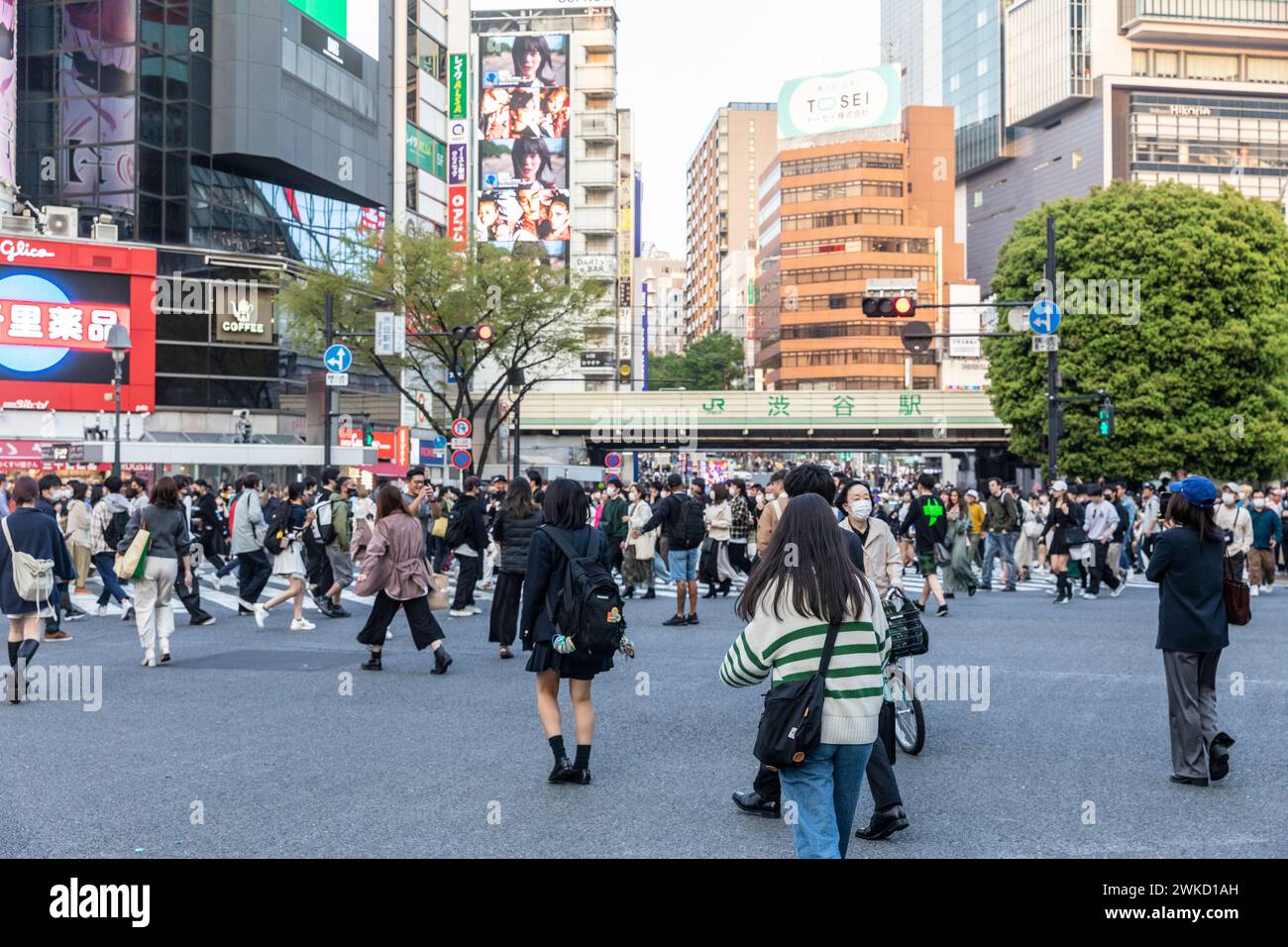 Città di Shibuya, famosa traversata di Shibuya, traversata dei pellicani, in prima serata, folle sulla strada, Tokyo, Giappone, Asia, 2023 Foto Stock