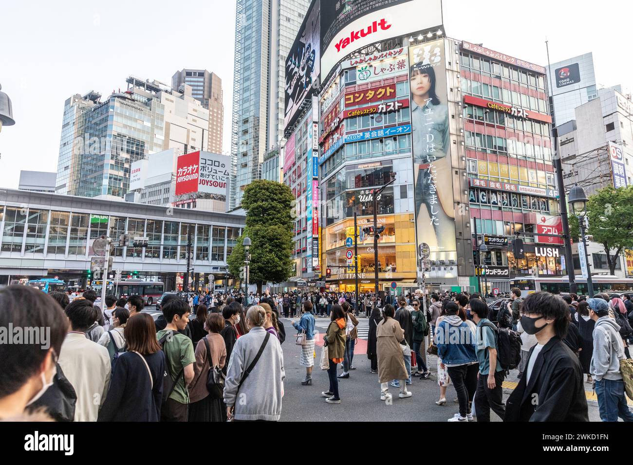 Città di Shibuya, famosa traversata di Shibuya, traversata dei pellicani, in prima serata, folle sulla strada, Tokyo, Giappone, Asia, 2023 Foto Stock