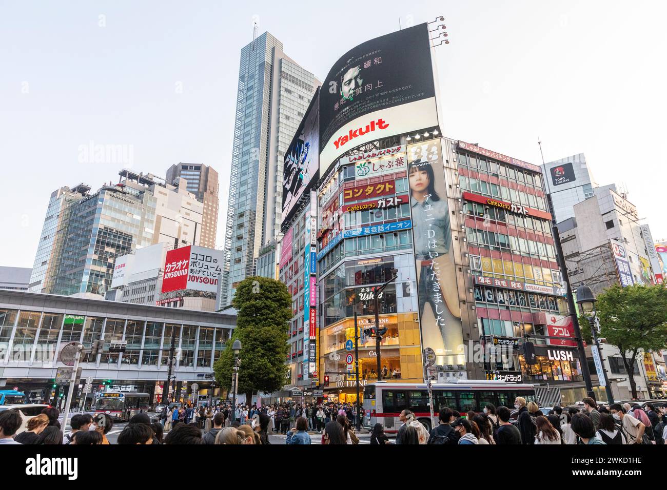 Città di Shibuya, famosa traversata di Shibuya, traversata dei pellicani, in prima serata, folle sulla strada, Tokyo, Giappone, Asia, 2023 Foto Stock