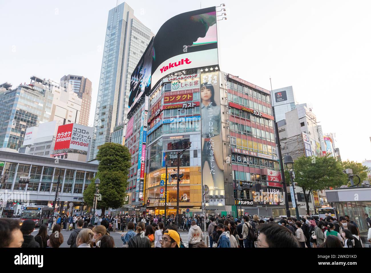 Città di Shibuya, famosa traversata di Shibuya, traversata dei pellicani, in prima serata, folle sulla strada, Tokyo, Giappone, Asia, 2023 Foto Stock