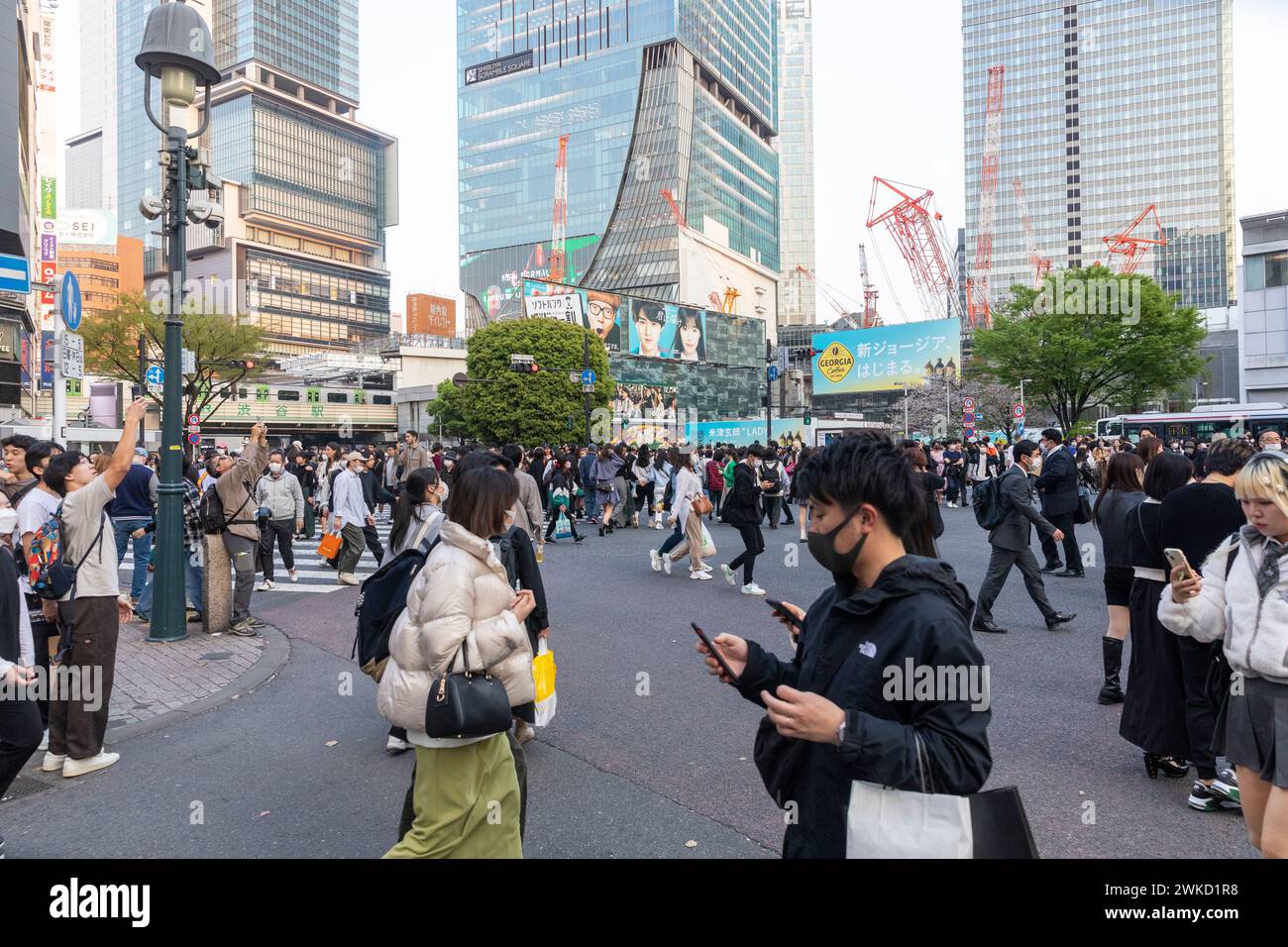 Città di Shibuya, famosa traversata di Shibuya, traversata dei pellicani, in prima serata, folle sulla strada, Tokyo, Giappone, Asia, 2023 Foto Stock