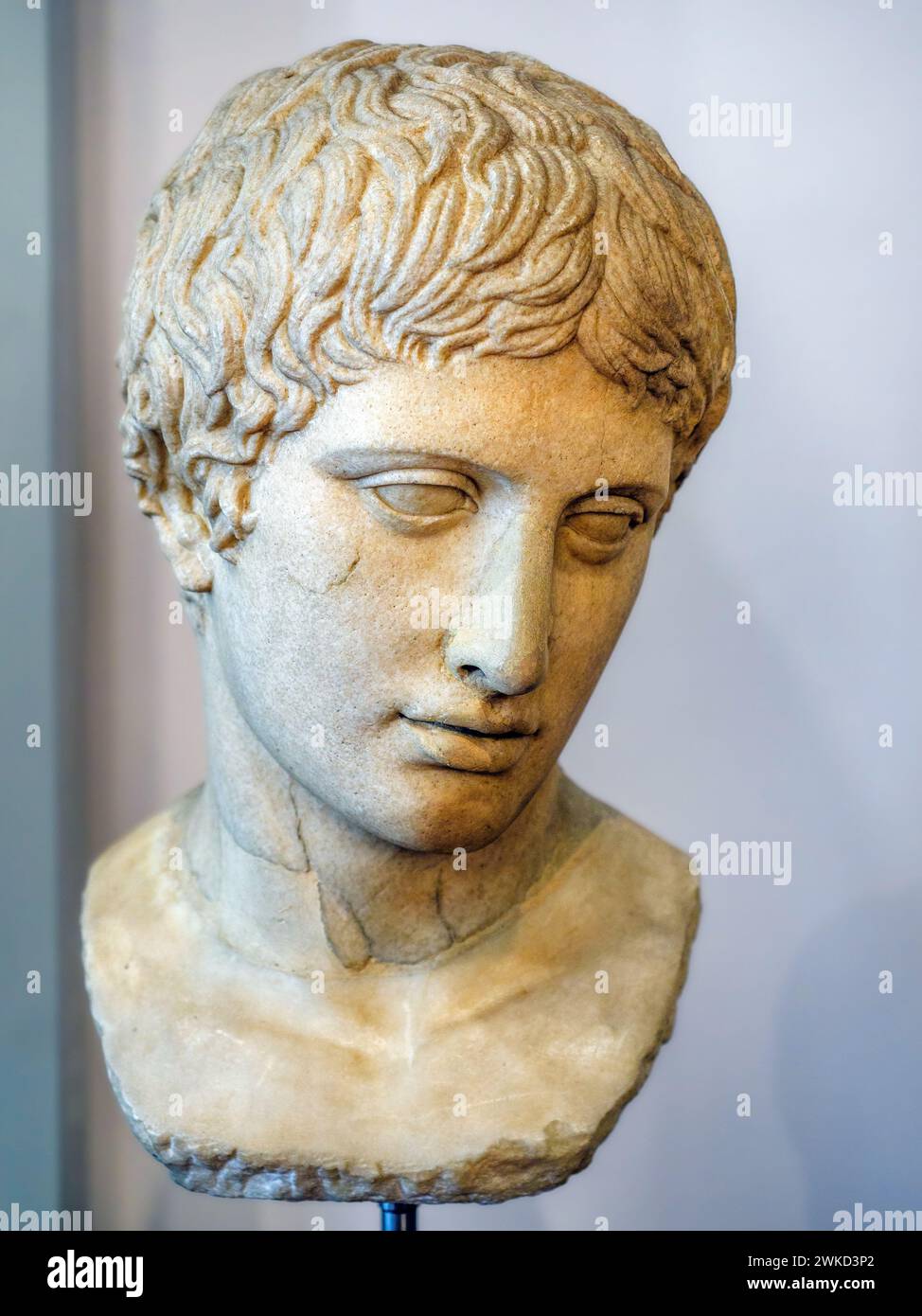 Capo di un giovane (tipo Dresda) , copia romana di un originale greco del millieu Polycitus (fine V secolo a.C.), marmo insulare - Museo di Scultura Antica Giovanni Barracco, Roma, Italia Foto Stock