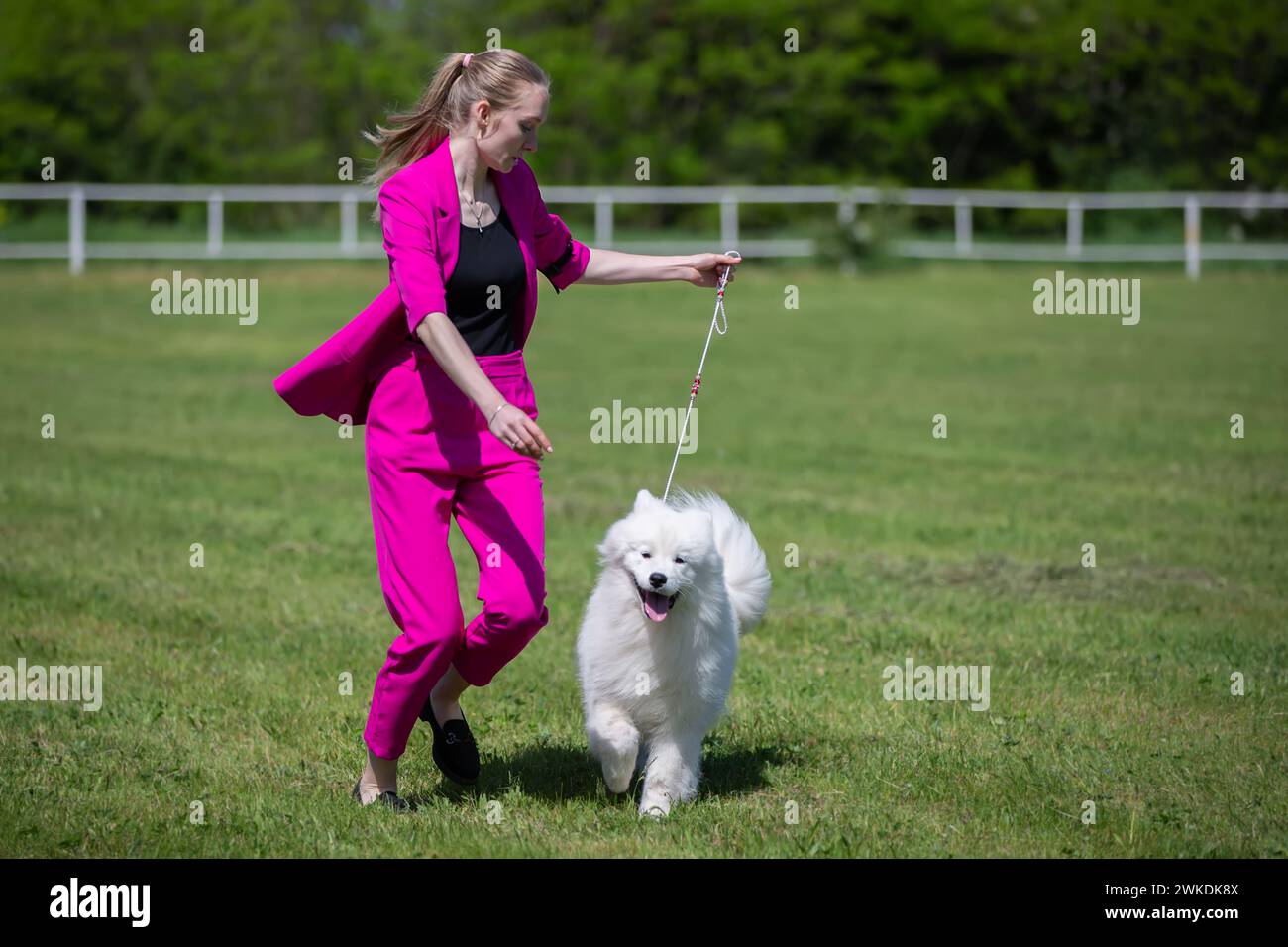 20 maggio 2023. Bielorussia, stadio della mostra canina Gomilski. Una donna allevatrice mostra un cane ad una mostra canina. Foto Stock