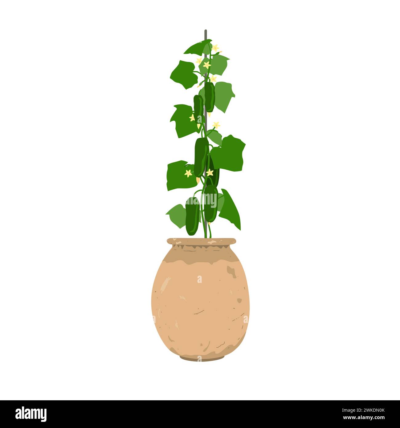 Pianta di cetriolo con verdure in un'elegante vecchia vaso di fiori di argilla. Cetriolo in vaso che cresce a casa, illustrazione vettoriale isolata Illustrazione Vettoriale