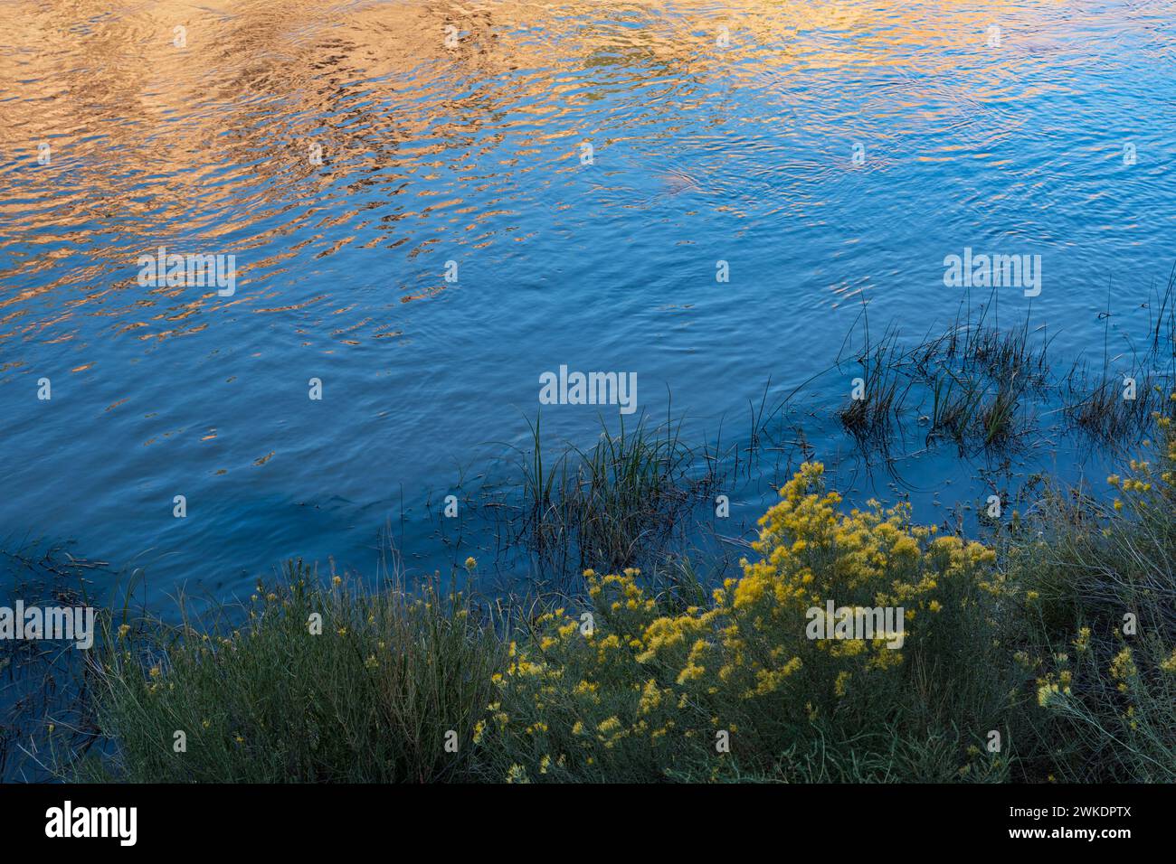 CHAMA RIVER REFLECTION, ABIQUIU, NEW MEXICO, USA Foto Stock