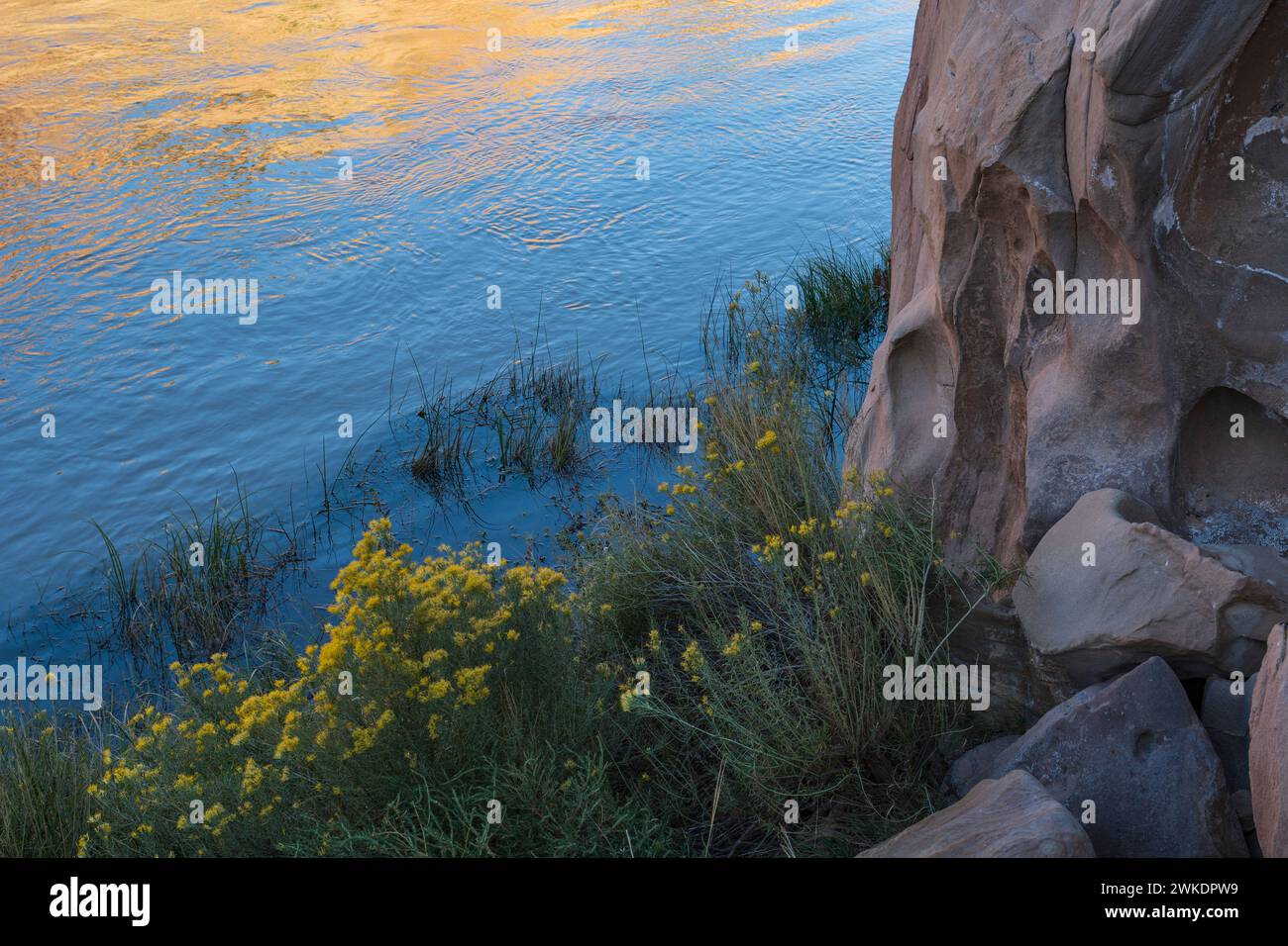 CHAMA RIVER REFLECTION, ABIQUIU, NEW MEXICO, USA Foto Stock