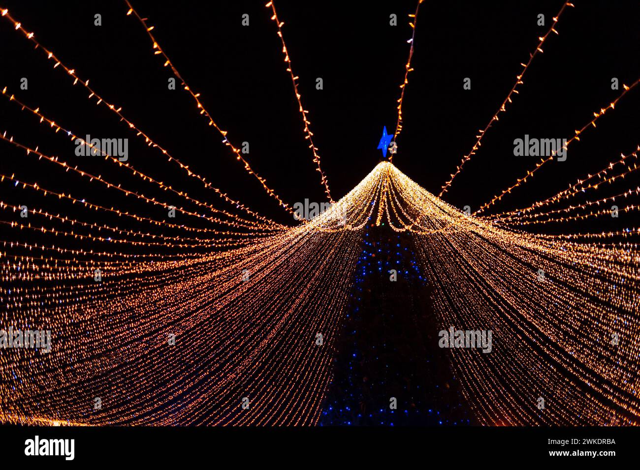 Bellissimo albero di Natale con luci dorate di notte Foto Stock