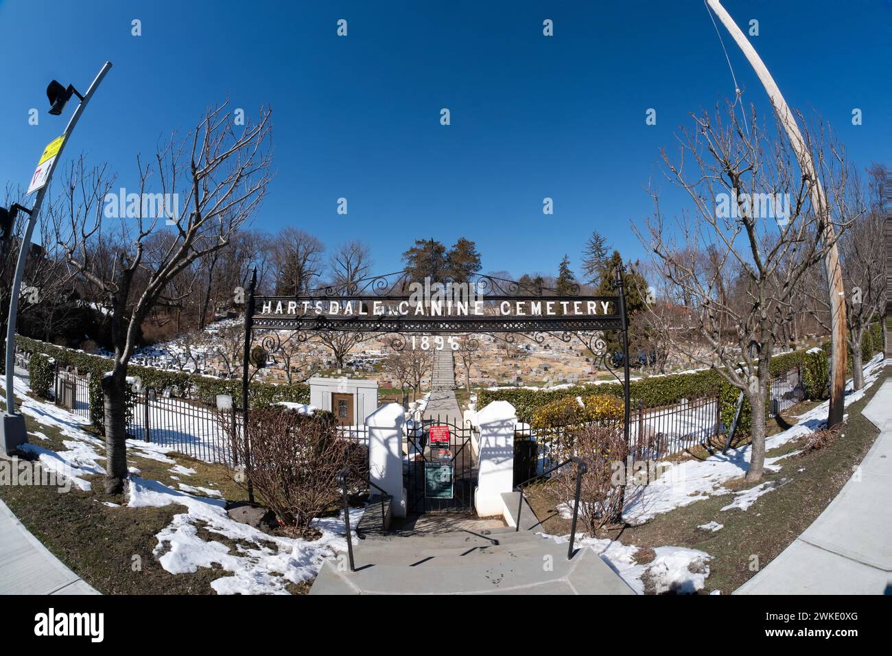 Una vista fisheye del cimitero delle canine di Hartsdale, il vecchio luogo in cui riposano gli animali domestici a Westchester, New York Foto Stock