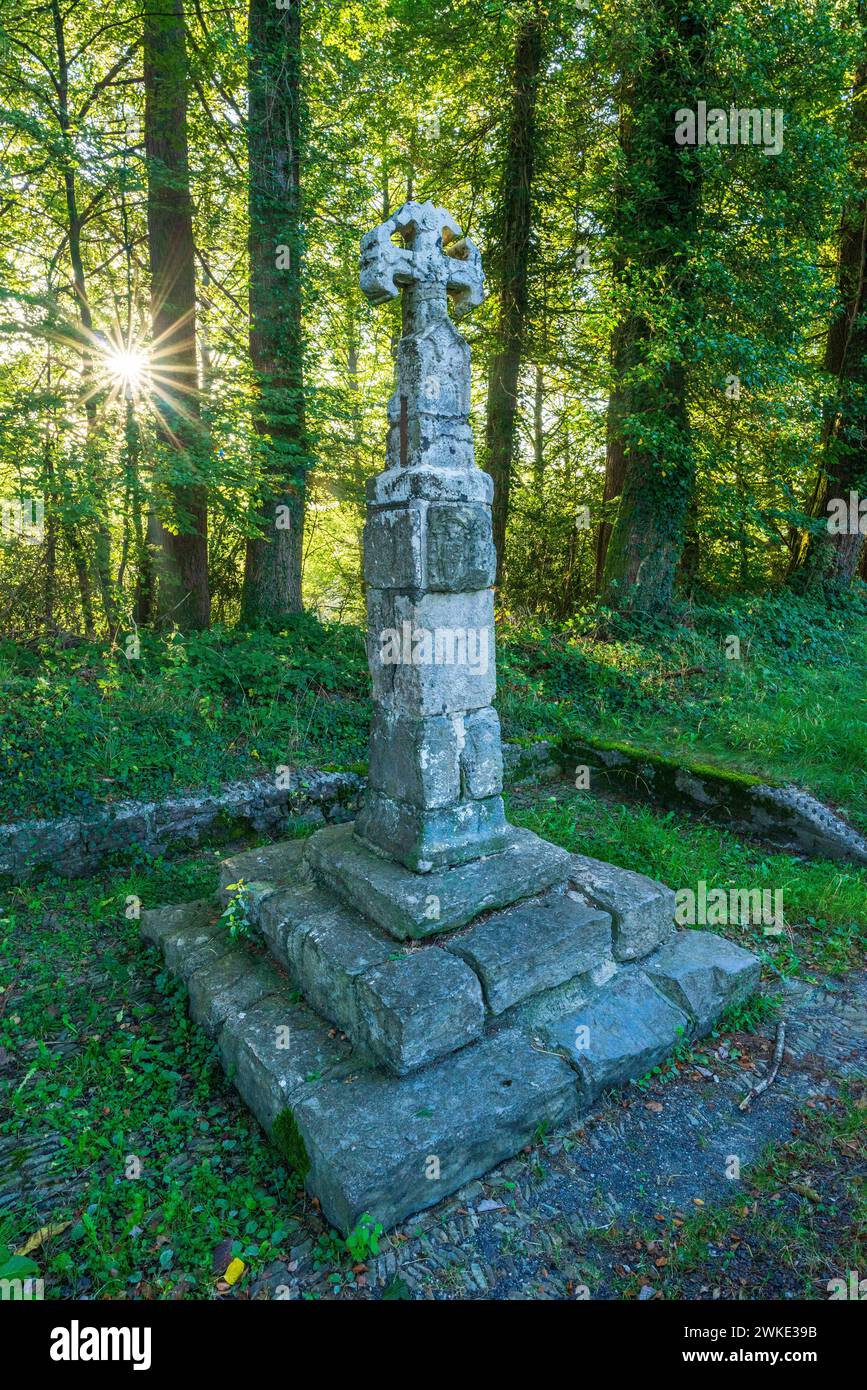 Croce dei pellegrini all'uscita di Roncesvalles, XIV secolo, strada di Santiago, Navarra, Spagna. Foto Stock
