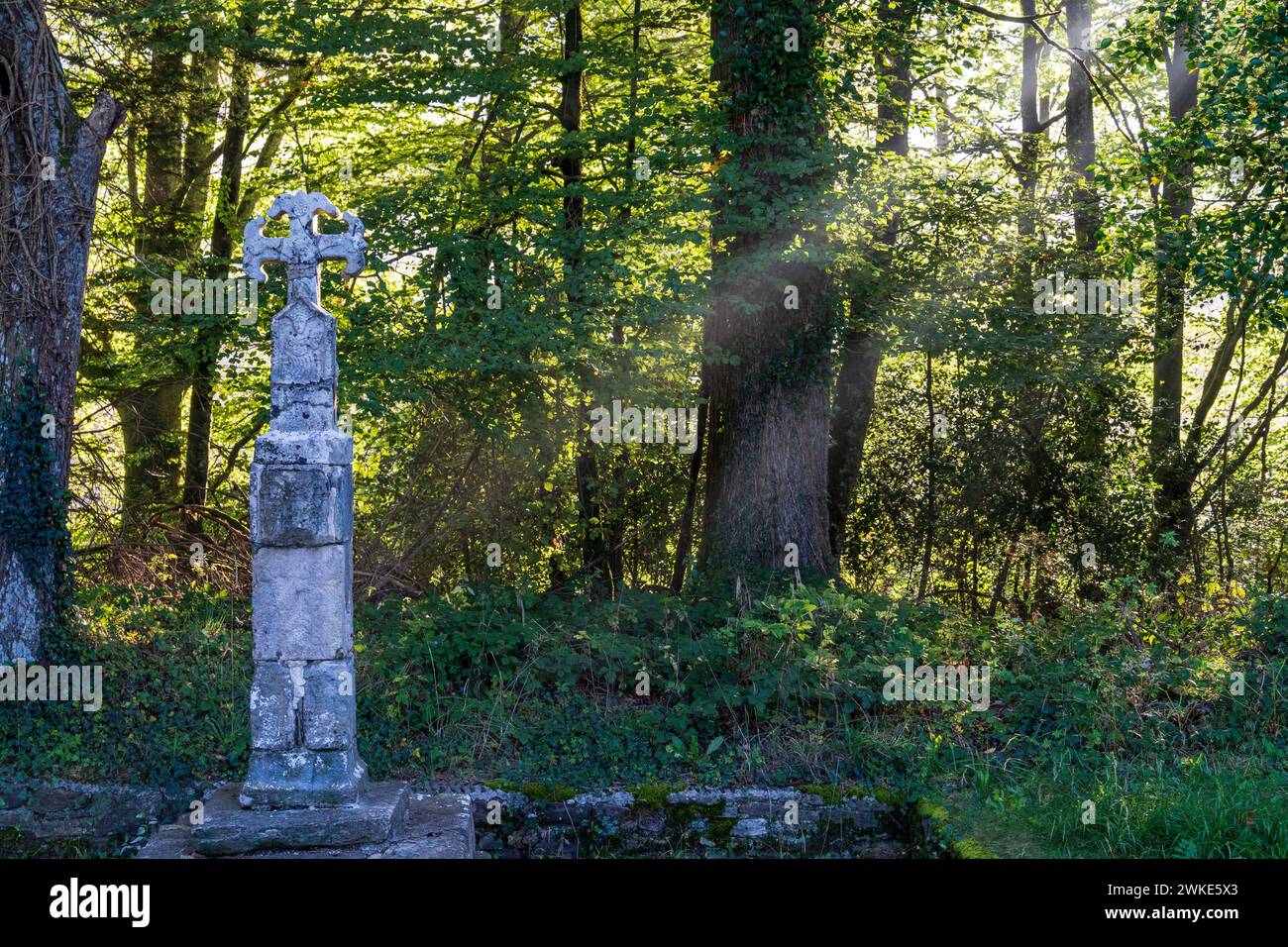 Croce dei pellegrini all'uscita di Roncesvalles, XIV secolo, strada di Santiago, Navarra, Spagna. Foto Stock