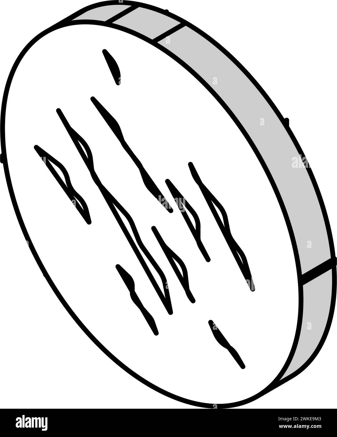 illustrazione vettoriale dell'icona isometrica della cicatrice inclinata o affondata Illustrazione Vettoriale