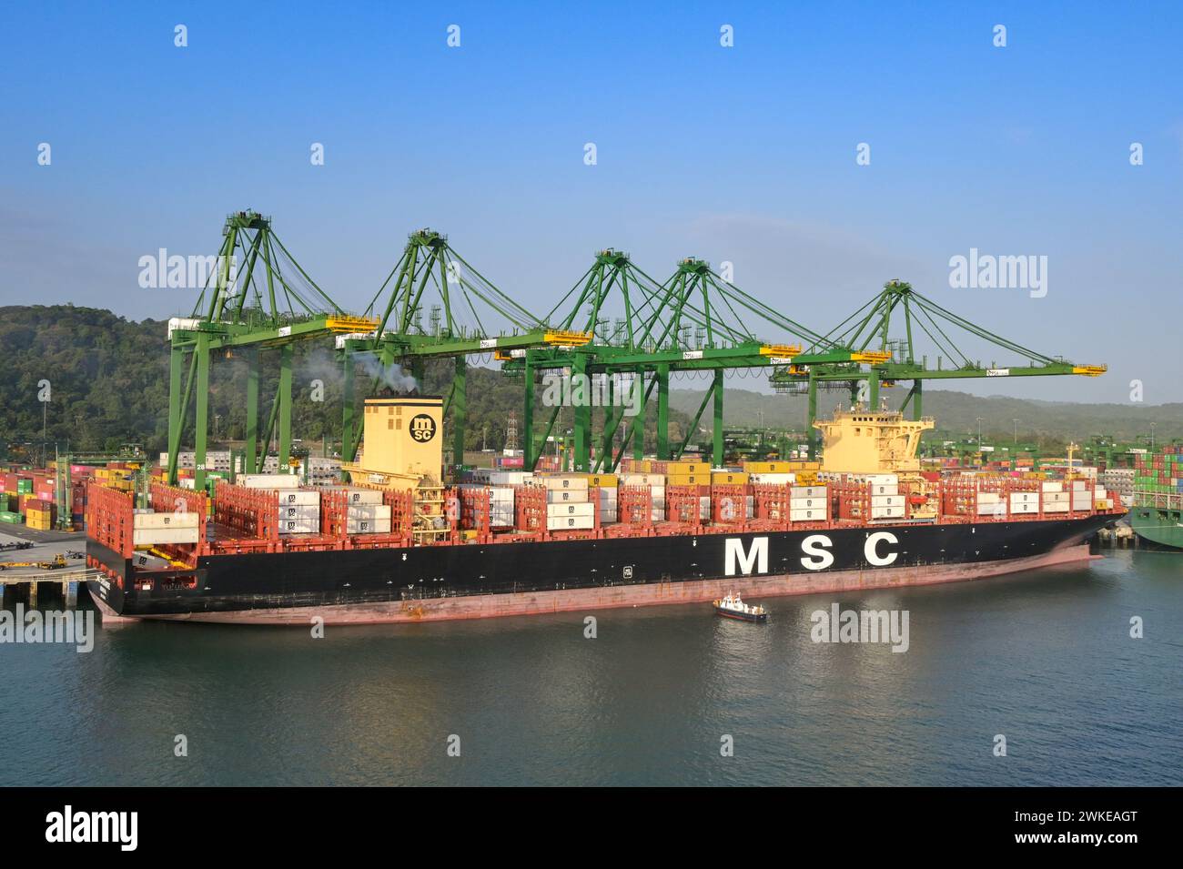 Panama City, Panama - 23 gennaio 2024: Gru che scaricano la nave container MSC Cassandre attraccata nel porto di Panama City Foto Stock