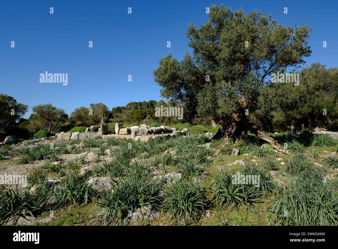 Santuario talayotico de Son Mas, Valldemossa, Maiorca, isole Baleari, Spagna. Foto Stock