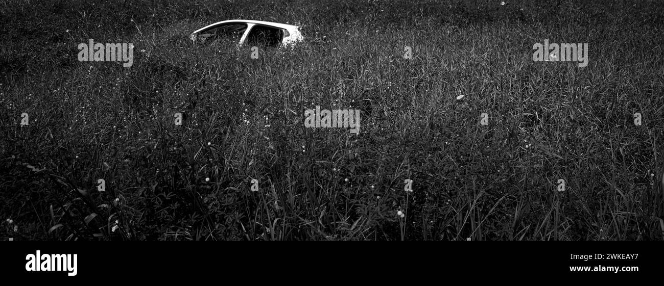 l'auto distrutta è annegata nell'erba alta e nei fiori Foto Stock