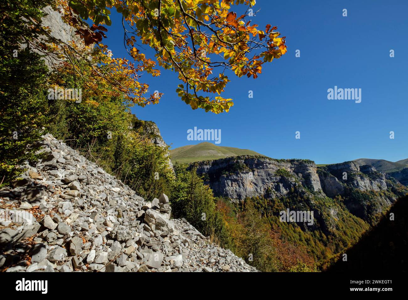 Barranco de la Pardina Parque nacional de Ordesa y Monte Perdido, comarca del Sobrarbe, Huesca, Aragón, cordillera de los Pirineos, Spagna. Foto Stock