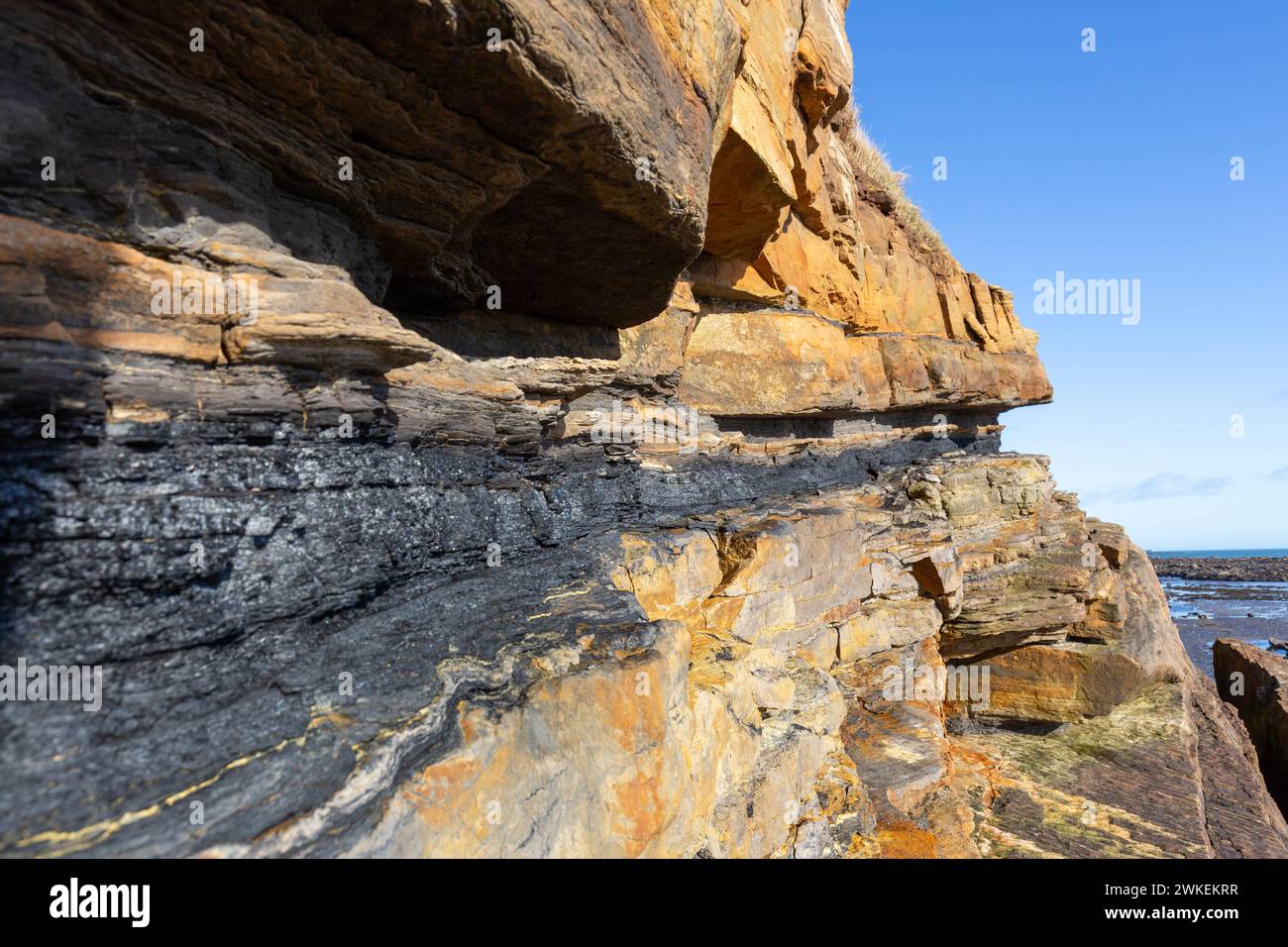 Giacimento di carbone esposto nelle scogliere vicino a Elie Fife, Scozia Foto Stock