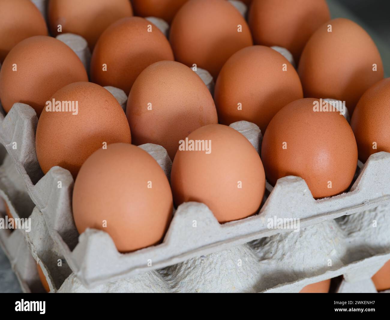 Uno shot ravvicinato di uova di gallina in scatole di uova Foto Stock