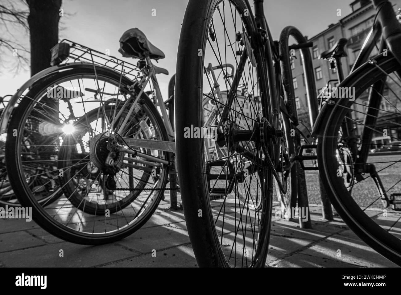 primo piano delle biciclette parcheggiate in città Foto Stock