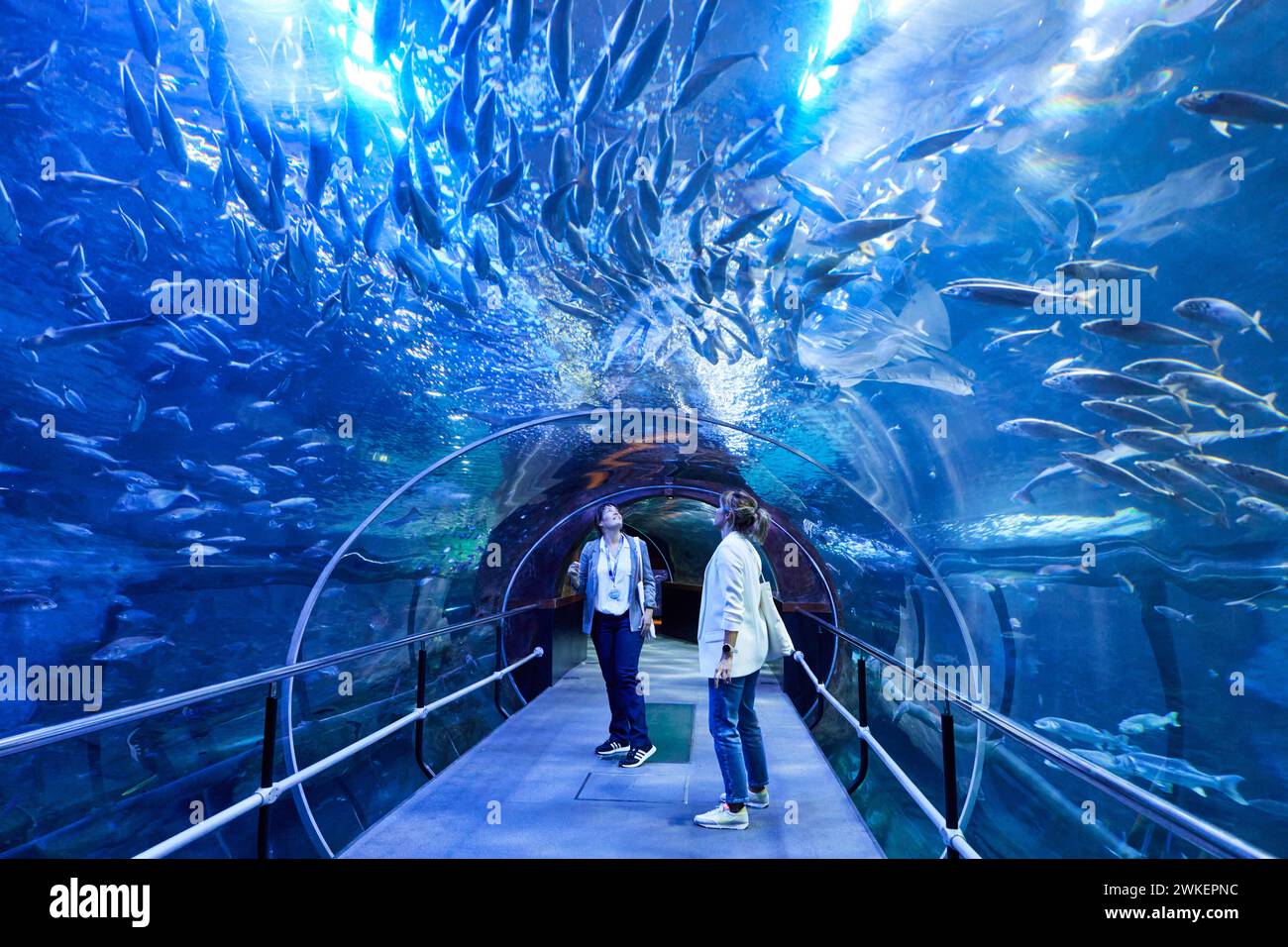 Turisti in visita all'Acquario, Donostia, San Sebastian, Paesi Baschi, Spagna Foto Stock