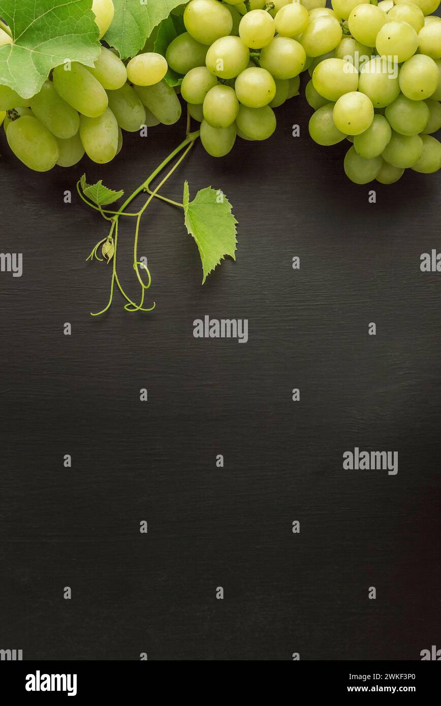 uva. bacche e foglie di vite. mucchio d'uva appeso ad una vite. produzione di vino. uva, gusto dolce, fragrante, croccante, fresca dall'albero Foto Stock