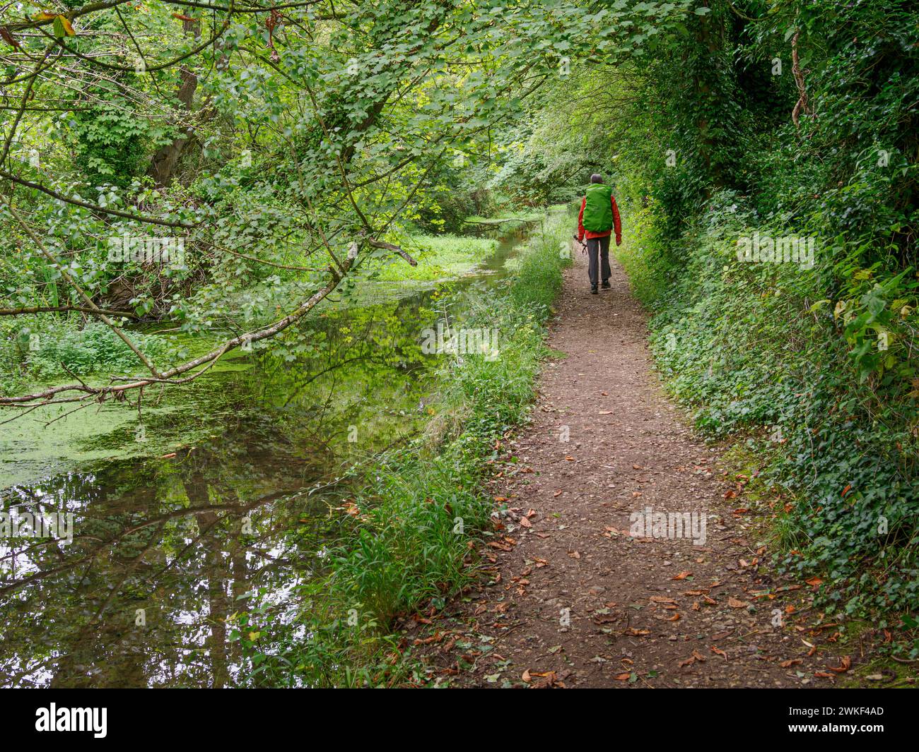 Percorrendo il Tamigi Path nel Wiltshire UK a pochi chilometri dalla sorgente Foto Stock