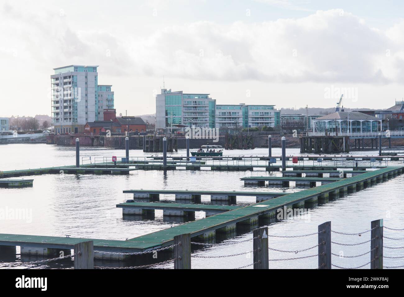 Mermaid Quay, baia di Cardiff, affacciata su banchine bonificate e blocchi di appartamenti Foto Stock