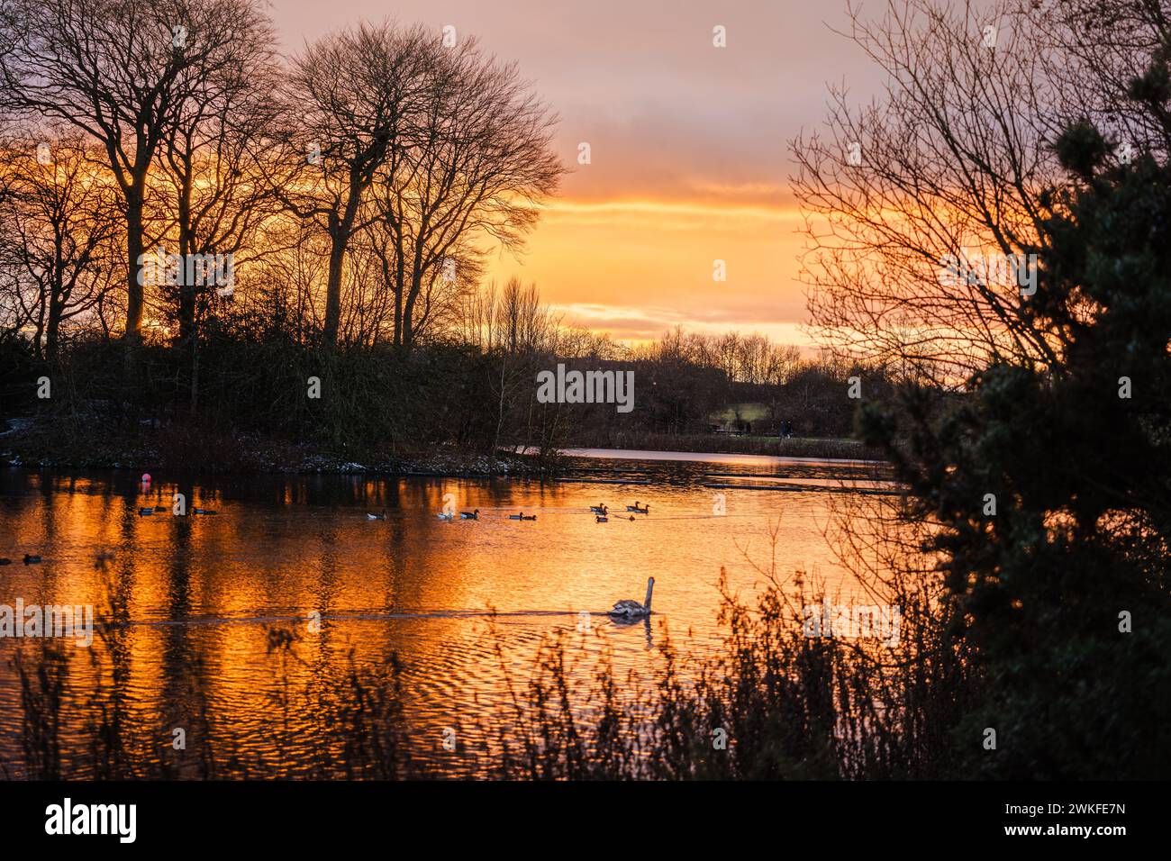 Tramonto sul parco patrimonio locale con la fauna selvatica nell'acqua Foto Stock