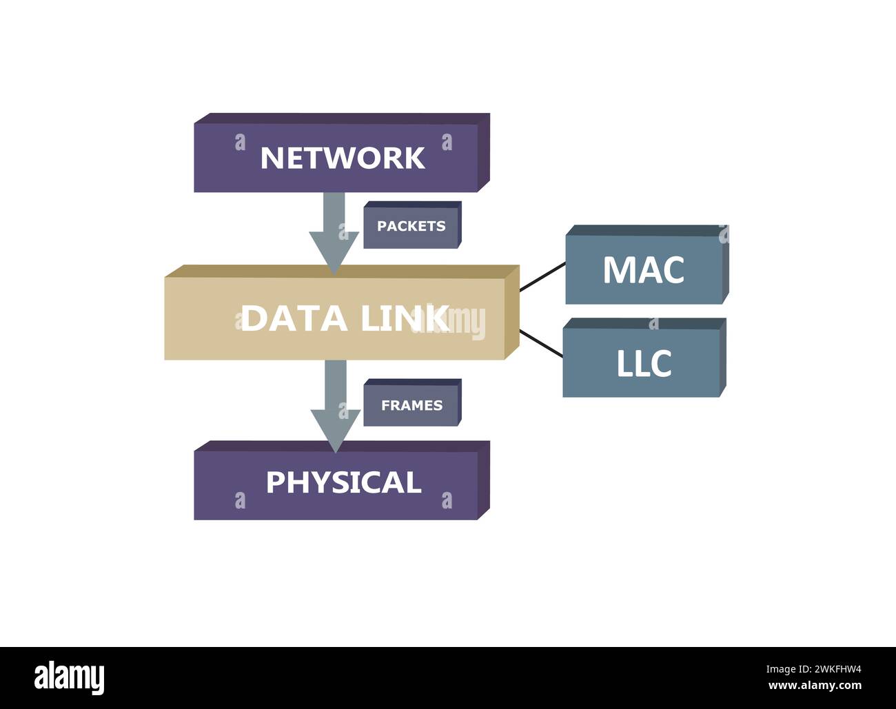 Sublayer collegamento dati, modello OSI, vettore Illustrazione Vettoriale
