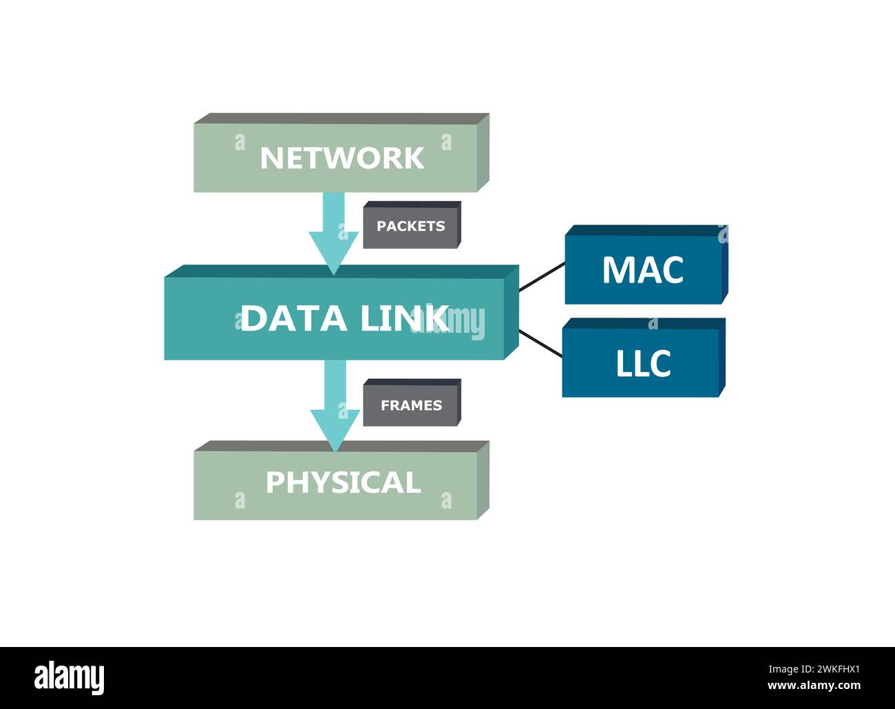 Sublayer collegamento dati, modello OSI, vettore Illustrazione Vettoriale