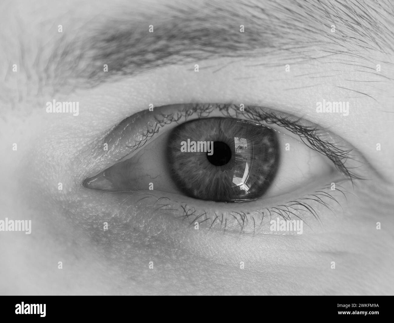 Primo piano di un occhio umano che mostra dettagli intricati nella fotografia in bianco e nero Foto Stock