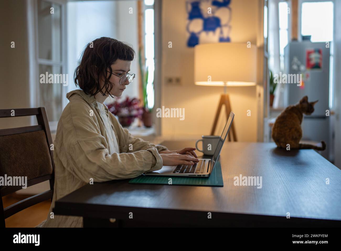 Studentessa concentrata che lavora su un progetto di studio su un computer portatile con gatto seduto sulla scrivania in una casa accogliente. Foto Stock