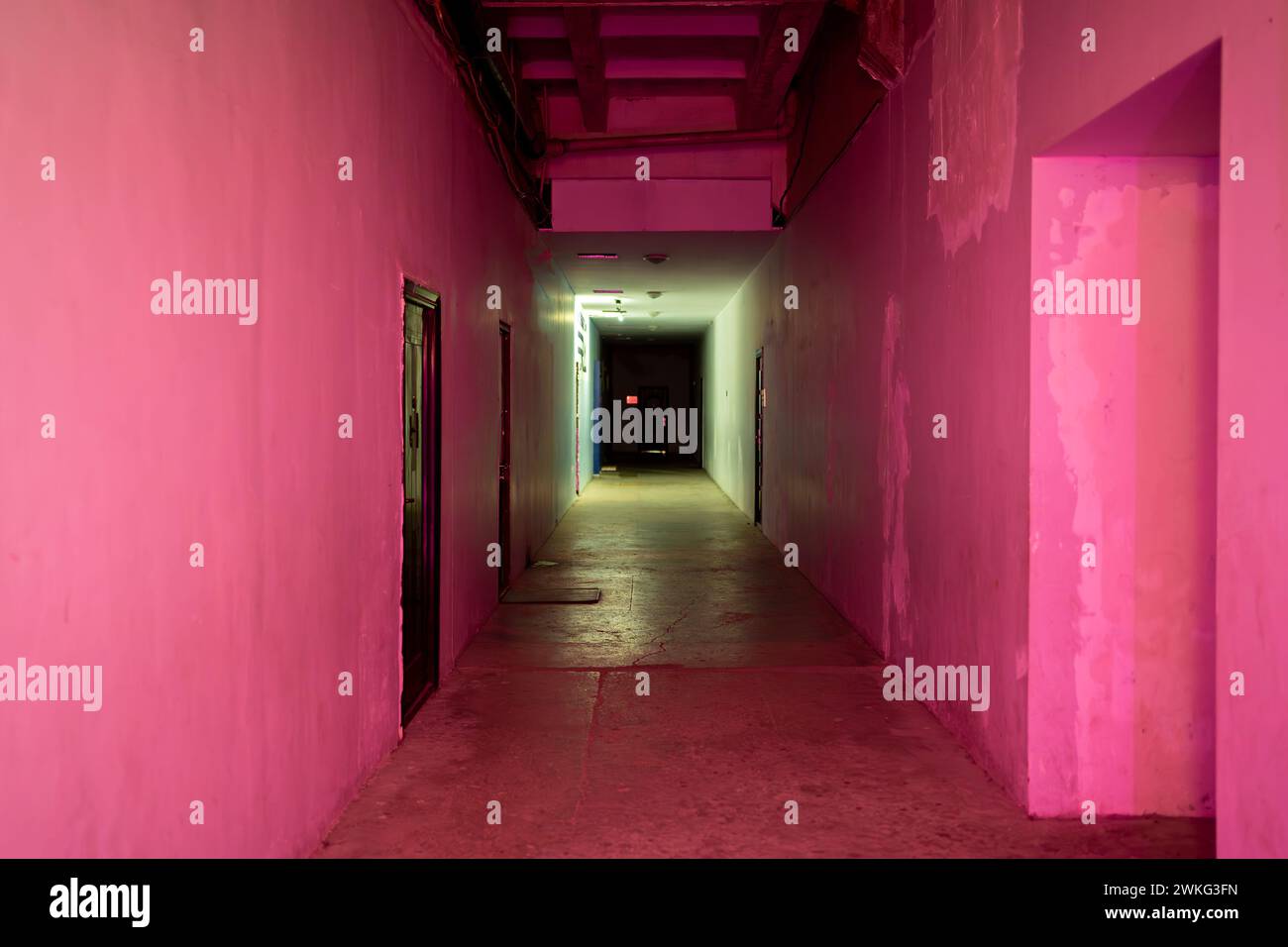 Corridoio misterioso con luci rosa e viola che conducono all'oscurità. Foto Stock