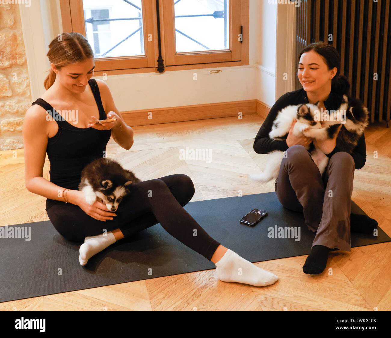 PUPPPY YOGA A PARIGI Foto Stock