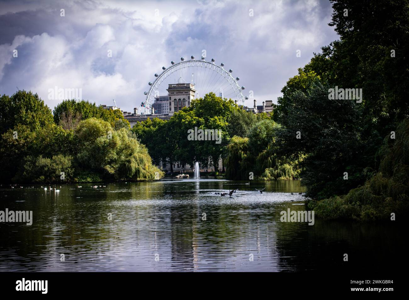 London Eye visto dal parco Foto Stock