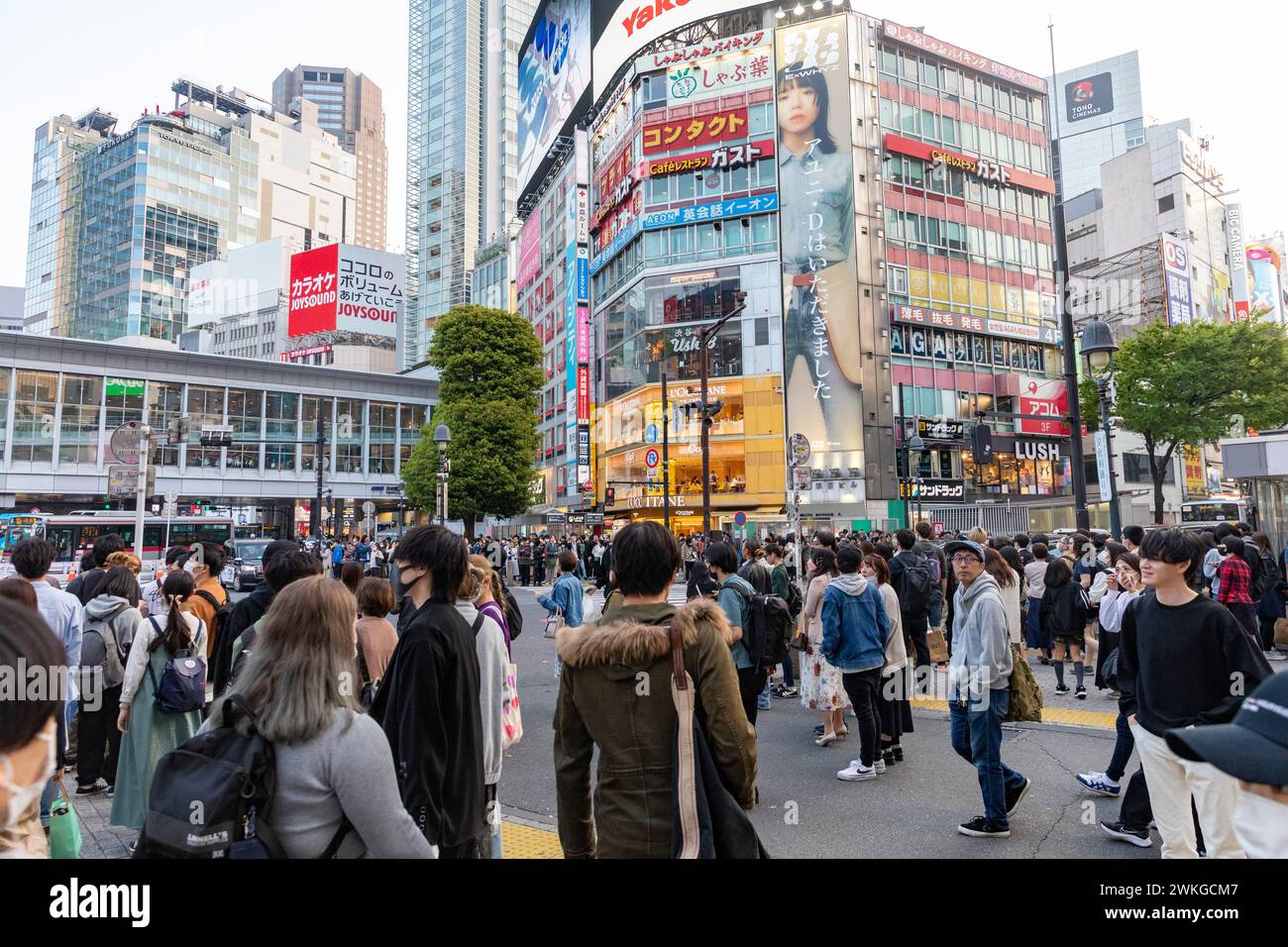 Città di Shibuya, famosa traversata di Shibuya, traversata dei pellicani, in prima serata, folle sulla strada, Tokyo, Giappone, Asia, 2023 Foto Stock