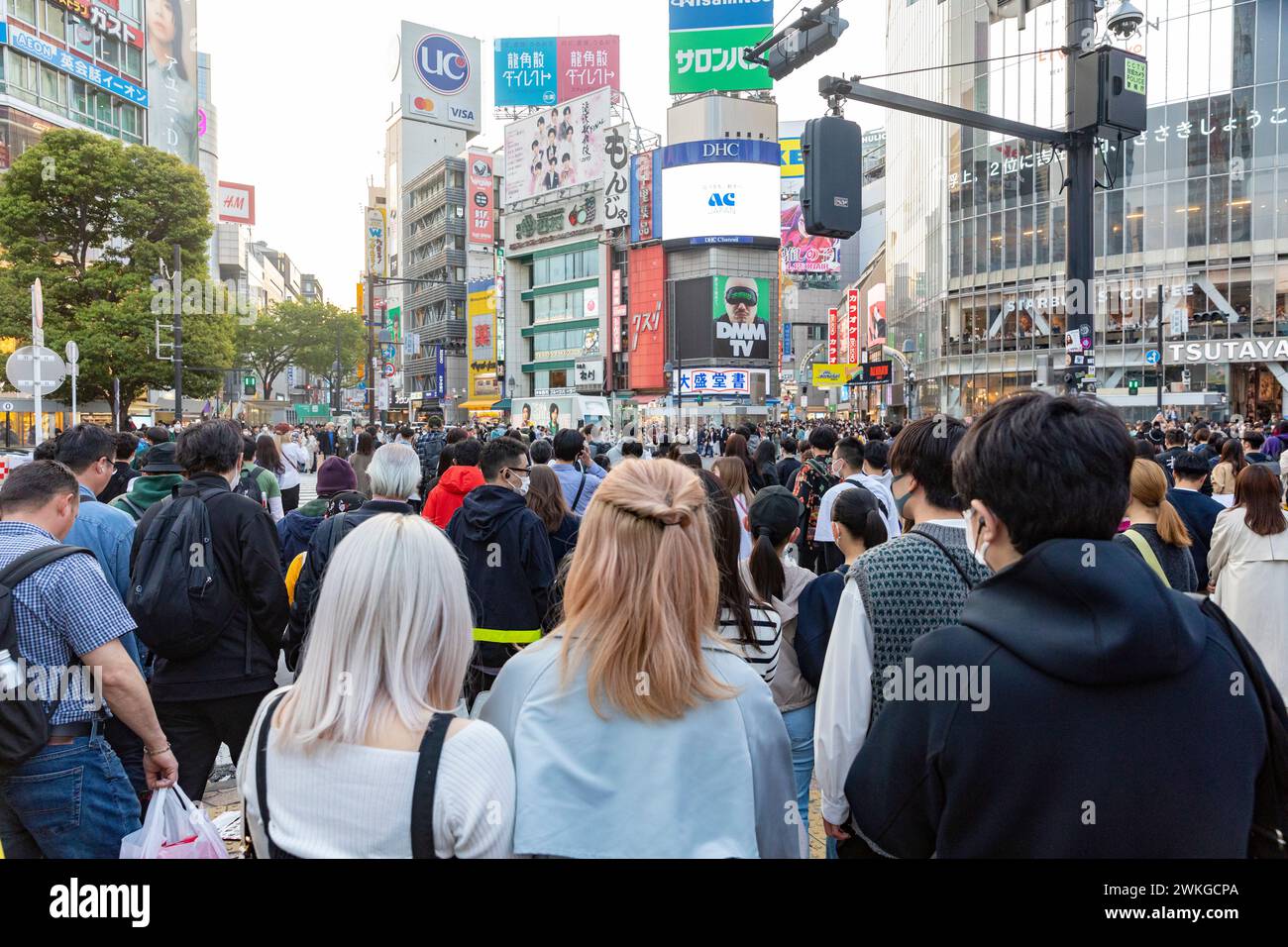 Città di Shibuya, famosa traversata di Shibuya, traversata dei pellicani, in prima serata, folle sulla strada, Tokyo, Giappone, Asia, 2023 Foto Stock