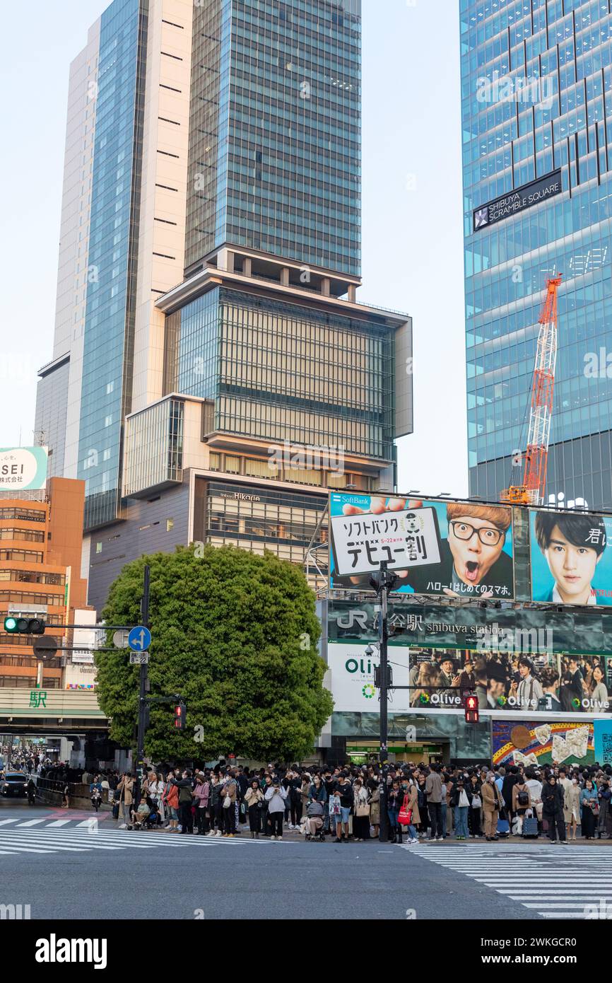 Città di Shibuya, famosa traversata di Shibuya, traversata dei pellicani, in prima serata, folle sulla strada, Tokyo, Giappone, Asia, 2023 Foto Stock