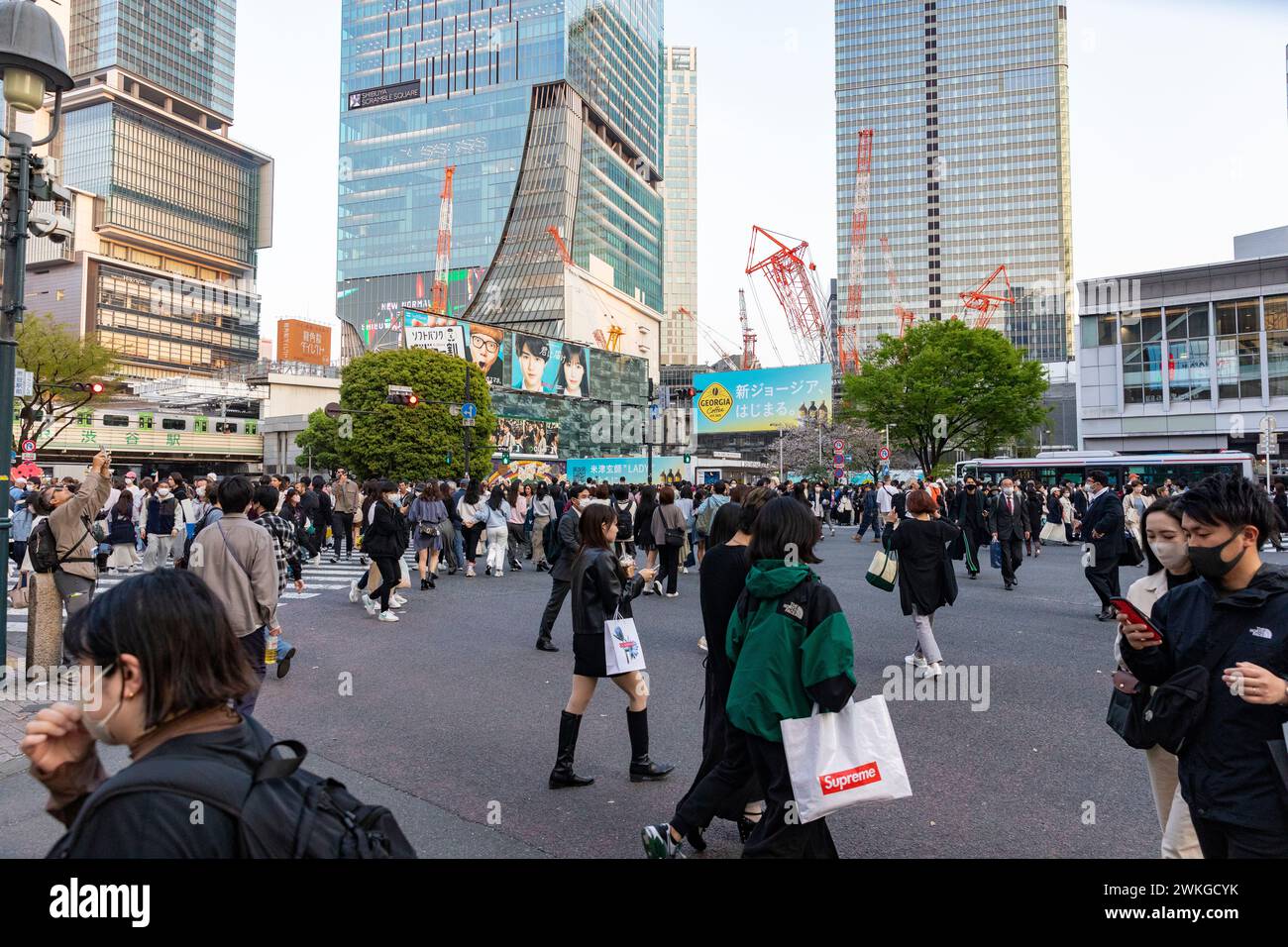 Città di Shibuya, famosa traversata di Shibuya, traversata dei pellicani, in prima serata, folle sulla strada, Tokyo, Giappone, Asia, 2023 Foto Stock