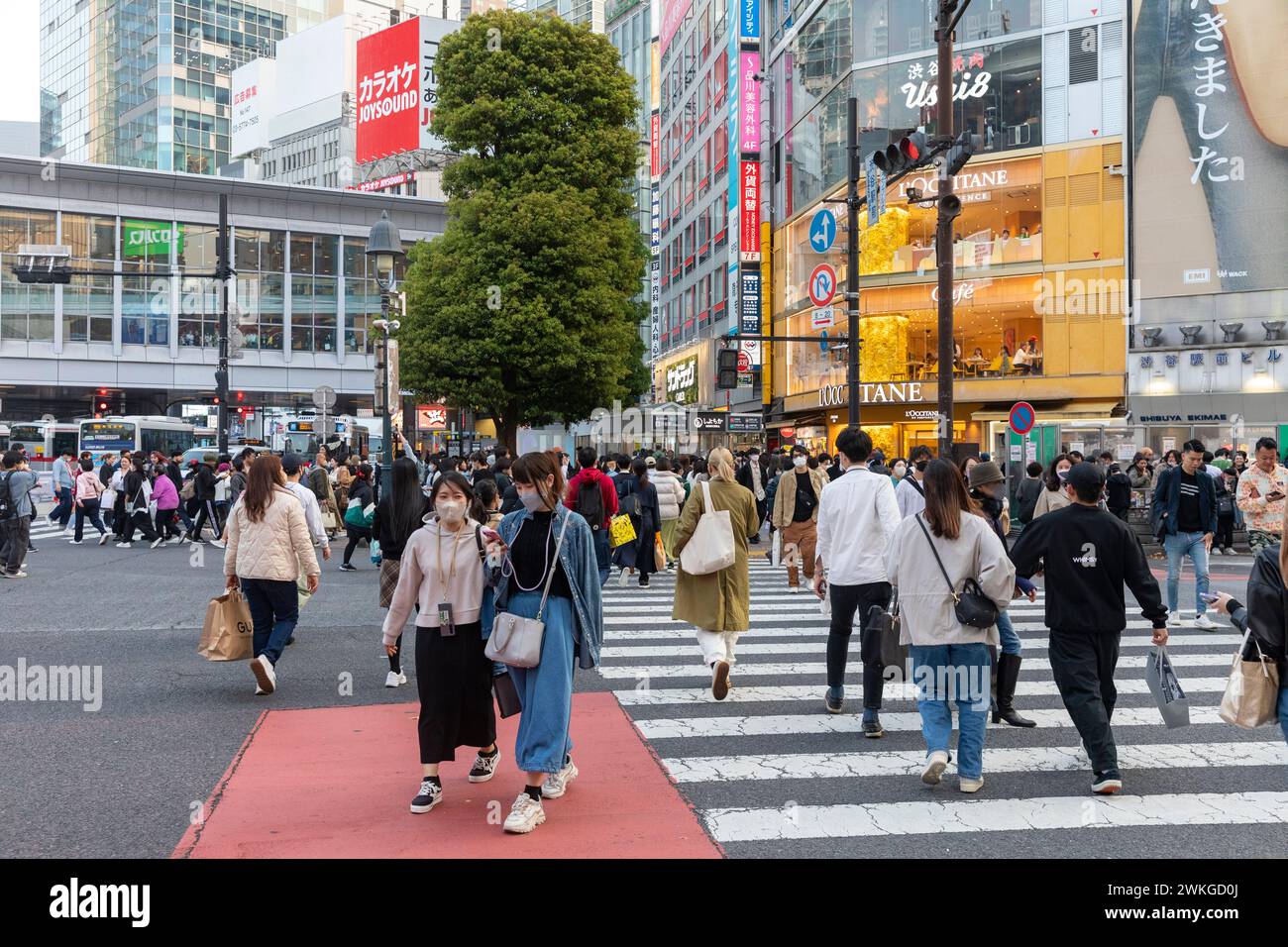 Città di Shibuya, famosa traversata di Shibuya, traversata dei pellicani, in prima serata, folle sulla strada, Tokyo, Giappone, Asia, 2023 Foto Stock