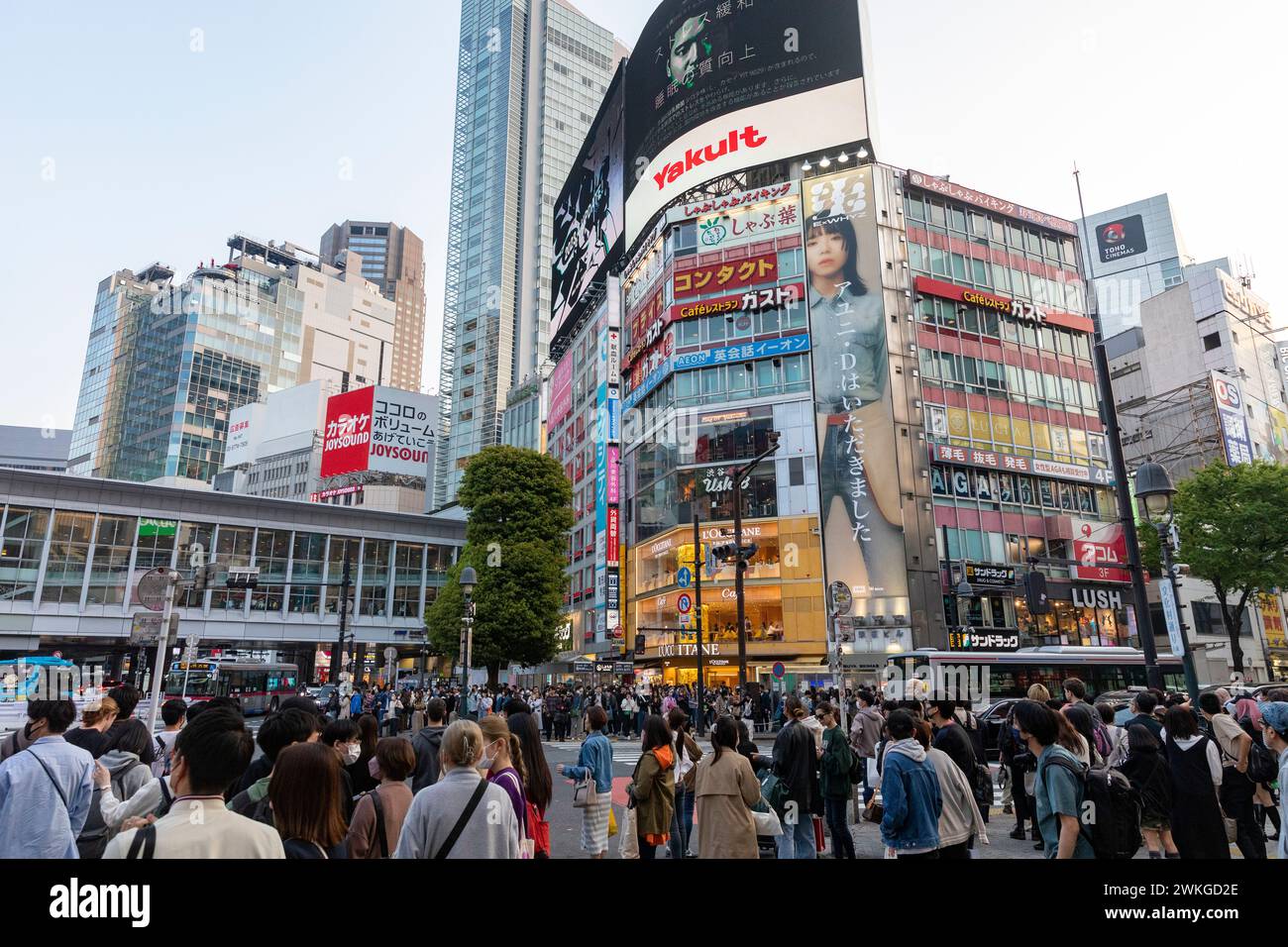 Città di Shibuya, famosa traversata di Shibuya, traversata dei pellicani, in prima serata, folle sulla strada, Tokyo, Giappone, Asia, 2023 Foto Stock