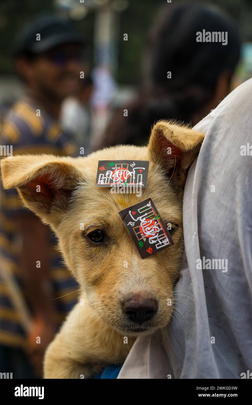 Prima dell'alba della giornata internazionale della lingua madre, le strade si trasformano in vivaci tele mentre gli artisti indossano gesso e dipingono. Ogni cele di corsa Foto Stock