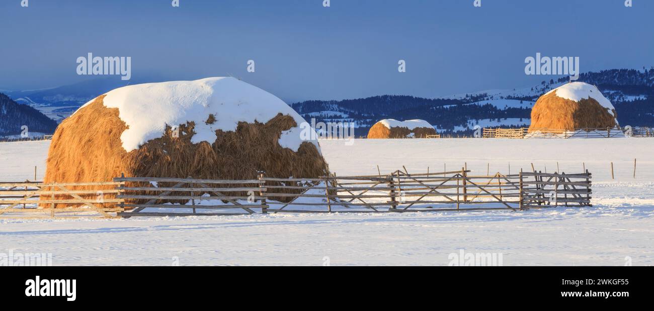 panorama della luce mattutina sui fienili in inverno vicino ad avon, montana Foto Stock