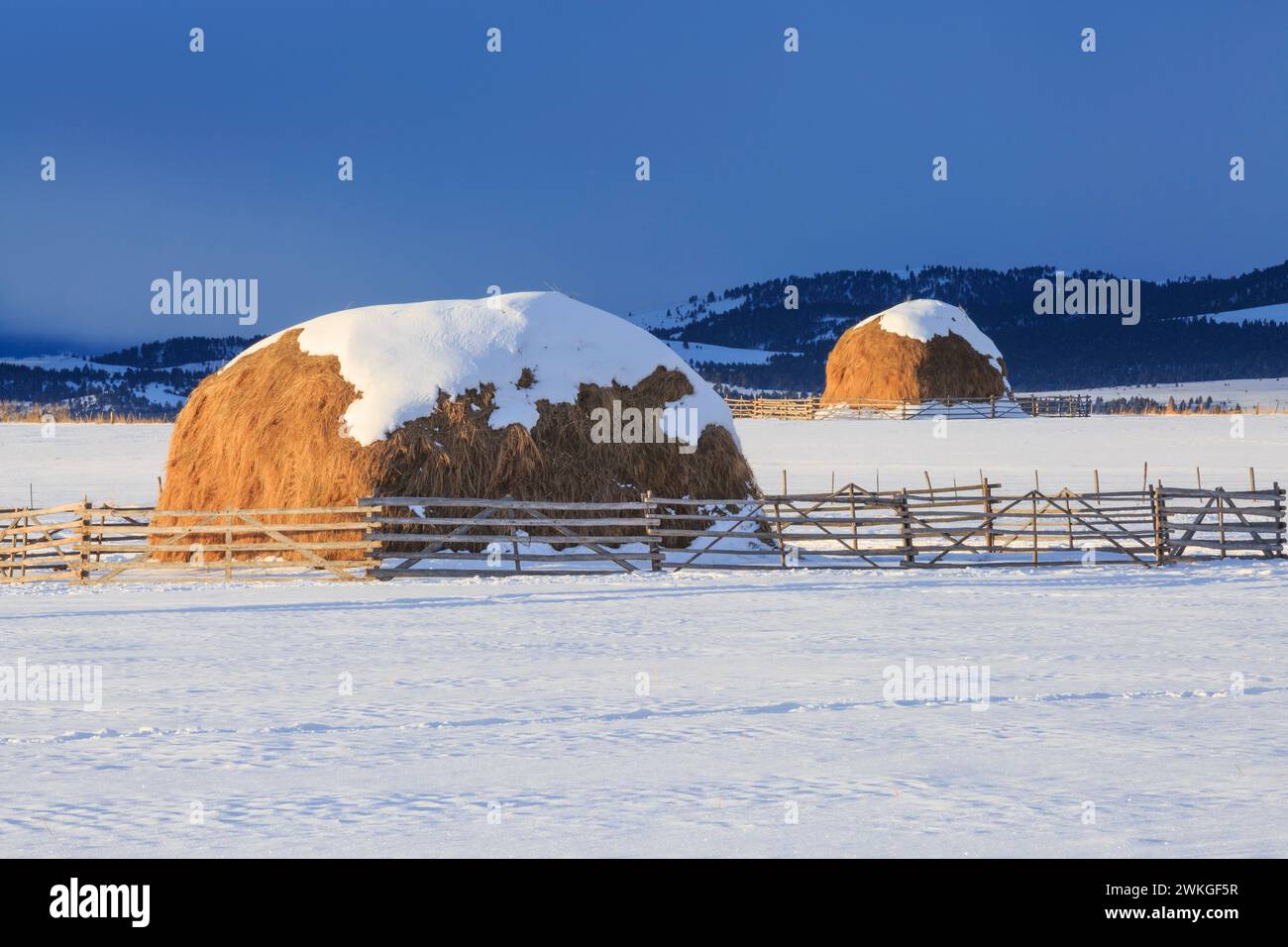 luce mattutina sui fienili in inverno vicino ad avon, montana Foto Stock