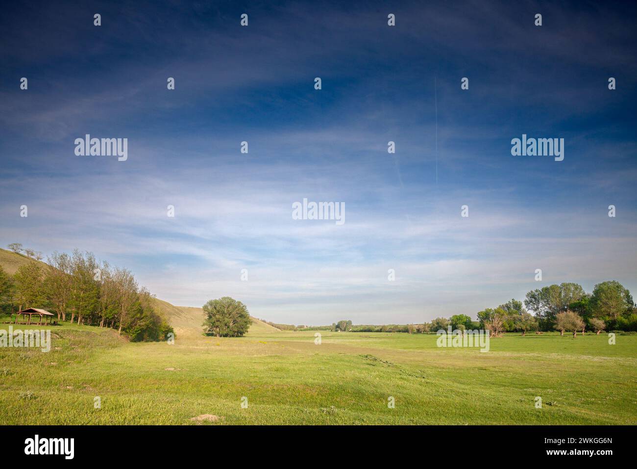Immagine di un campo e di un cielo blu in estate, su bregg titelski, o collina titel. Titelski Breg o collina di Titel è un altopiano di loess situato nella Vojvodina Foto Stock