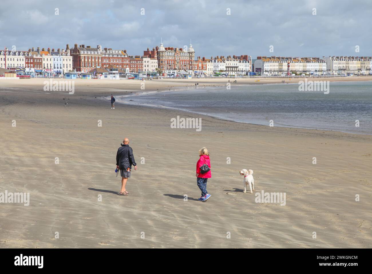 Persone sulla spiaggia sabbiosa con un cane bianco a Weymouth, Dorset, Inghilterra, Regno Unito. Foto Stock