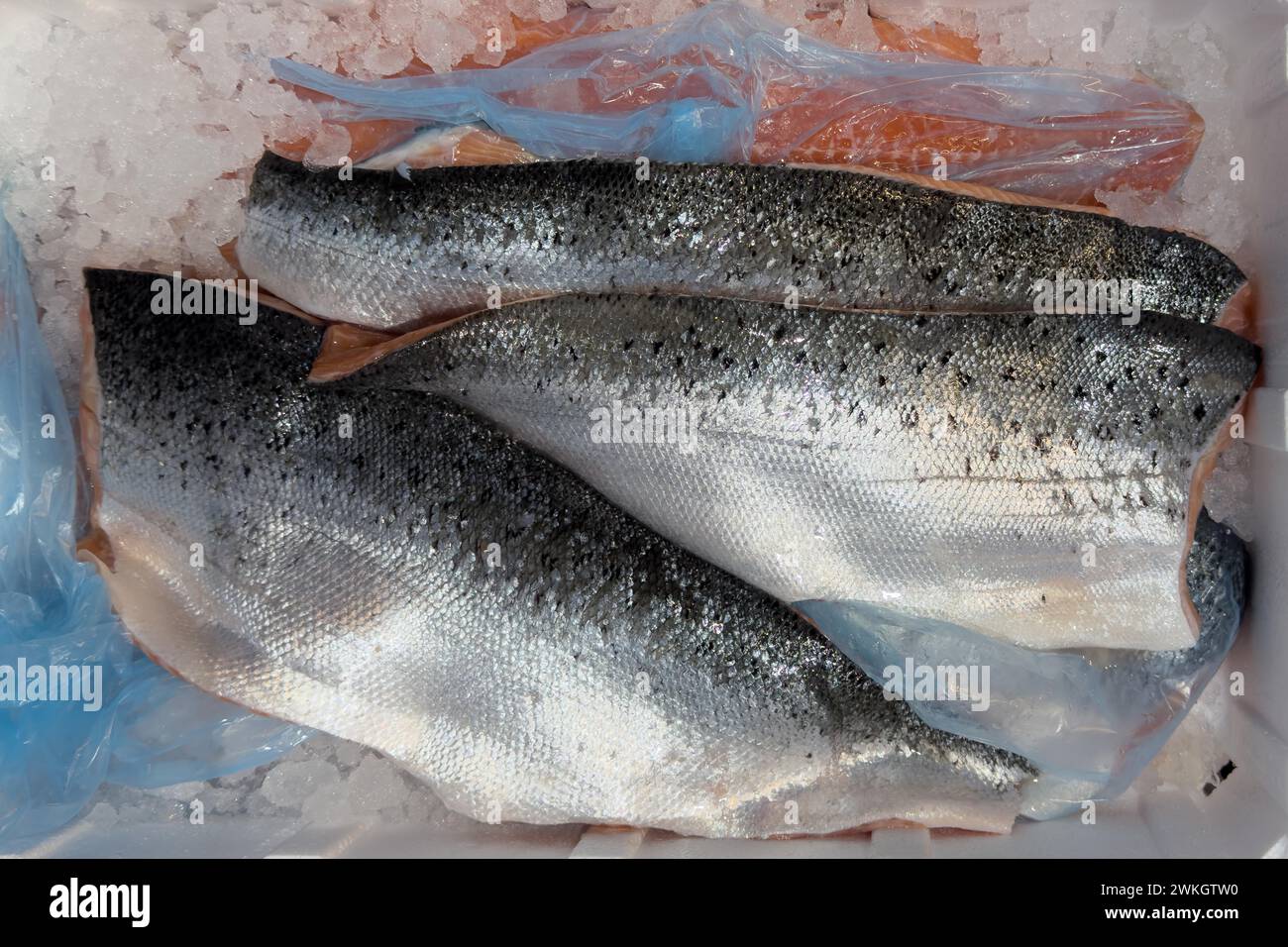 Salmone dell'Atlantico (Salmo salar) su ghiaccio in bancone refrigerato bancone di pesce commercializzato al dettaglio, commercio di alimenti, commercio all'ingrosso, commercio di pesce, specialità Foto Stock