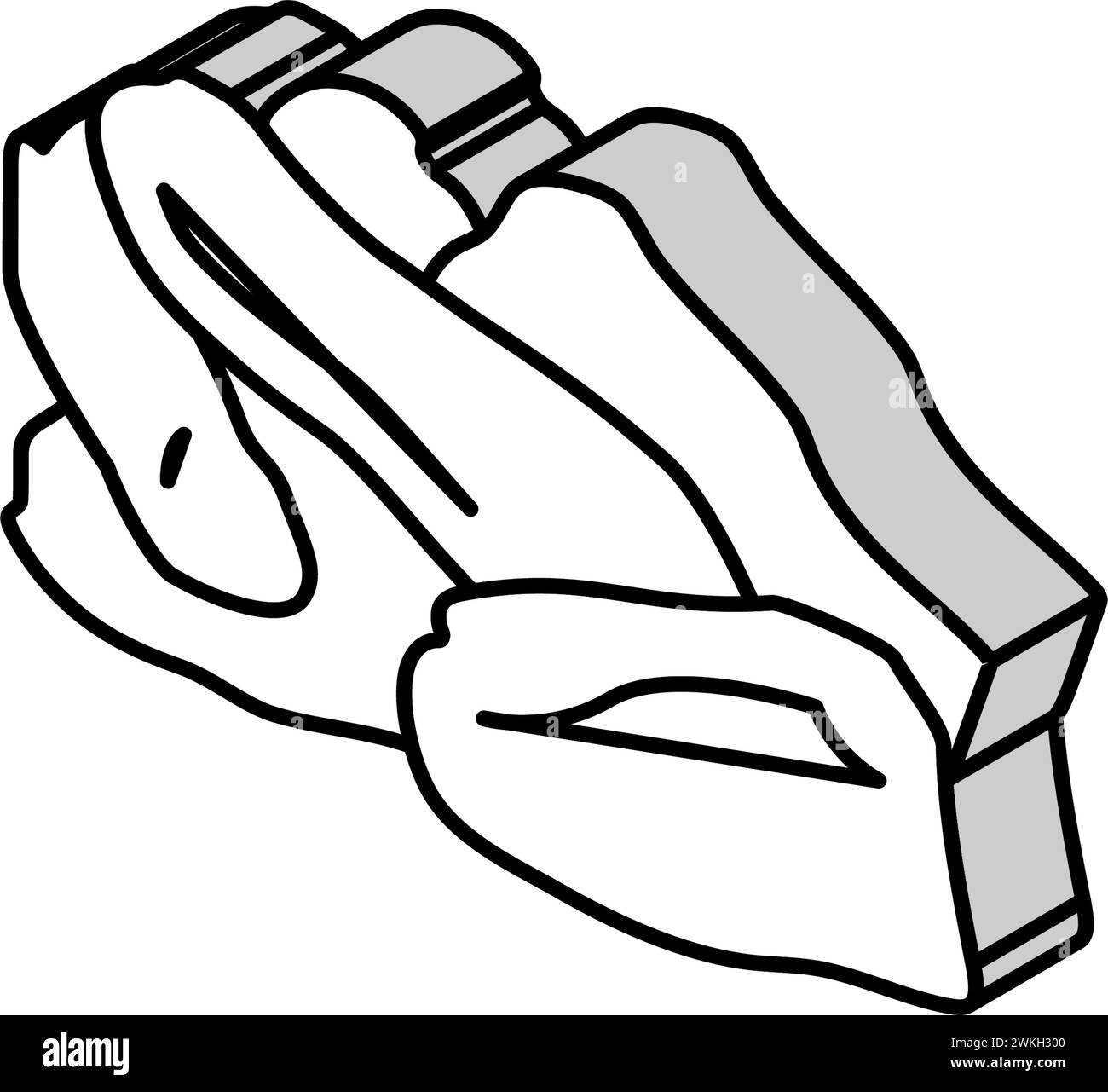 illustrazione isometrica del vettore icona dello zenzero essiccato Illustrazione Vettoriale