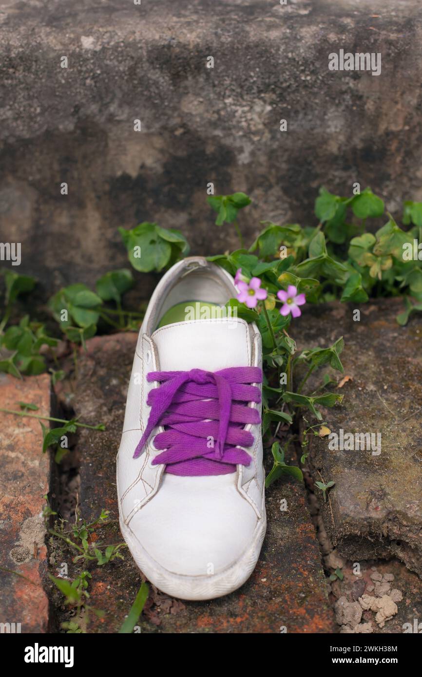 Sneaker singola bianca con lacci viola accanto ai fiori rosa su una superficie in mattoni che evocano un senso di abbandono o perdita in un ambiente rustico all'aperto Foto Stock