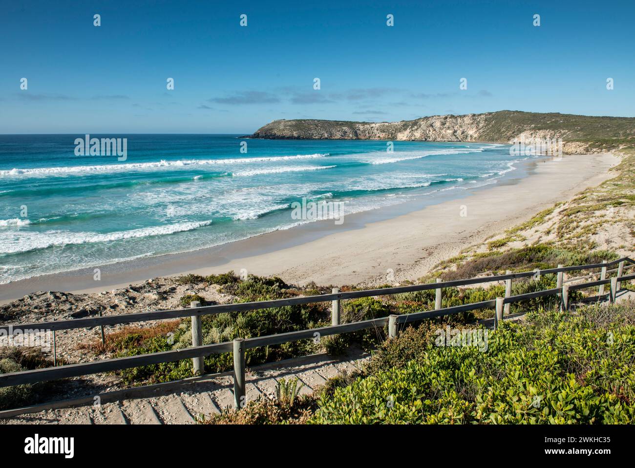 Pennington Bay, Kangaroo Island, Sud Australia Foto Stock